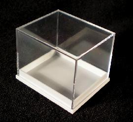 Plastikbox (Klein) - Bild © FossNet FossilienStore